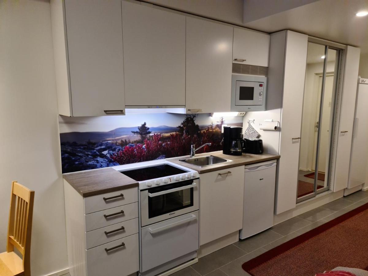Levibooking Lost In Levi Apt 305 基蒂莱 外观 照片