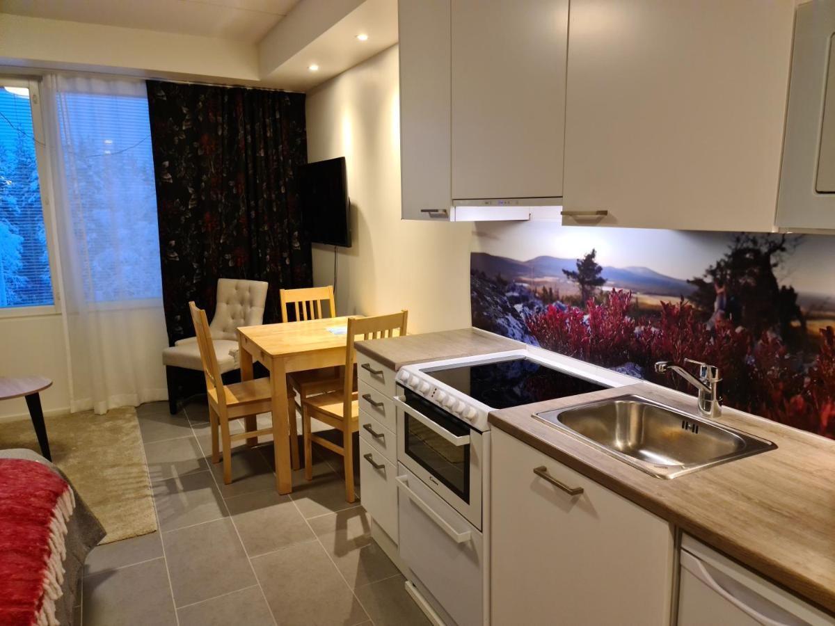 Levibooking Lost In Levi Apt 305 基蒂莱 外观 照片